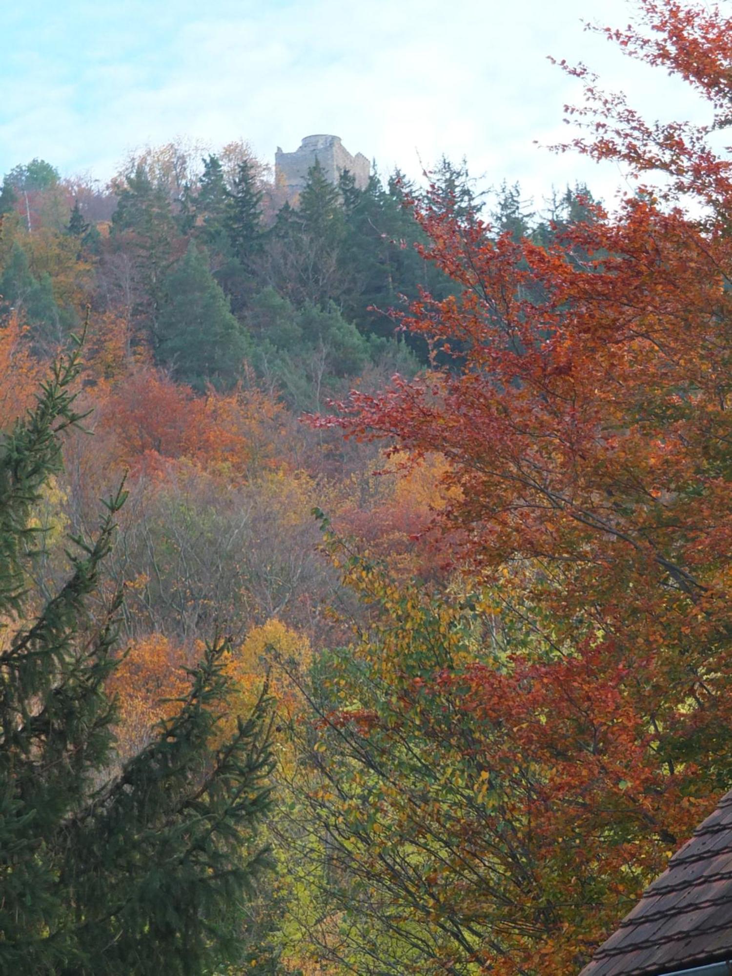 Orzechowka Szklarska Poręba Exterior foto